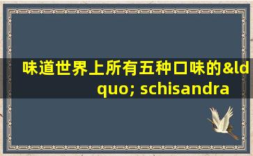味道世界上所有五种口味的“ schisandra  chinensis”一口可以改善三种常见疾病